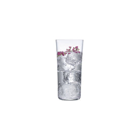 Savage Set of 4 High Ball Glasses